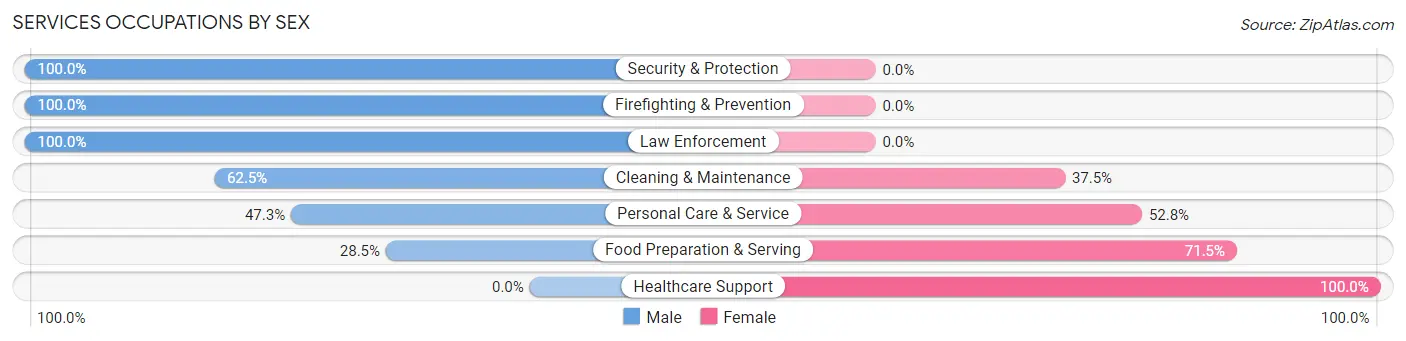 Services Occupations by Sex in Zephyrhills West