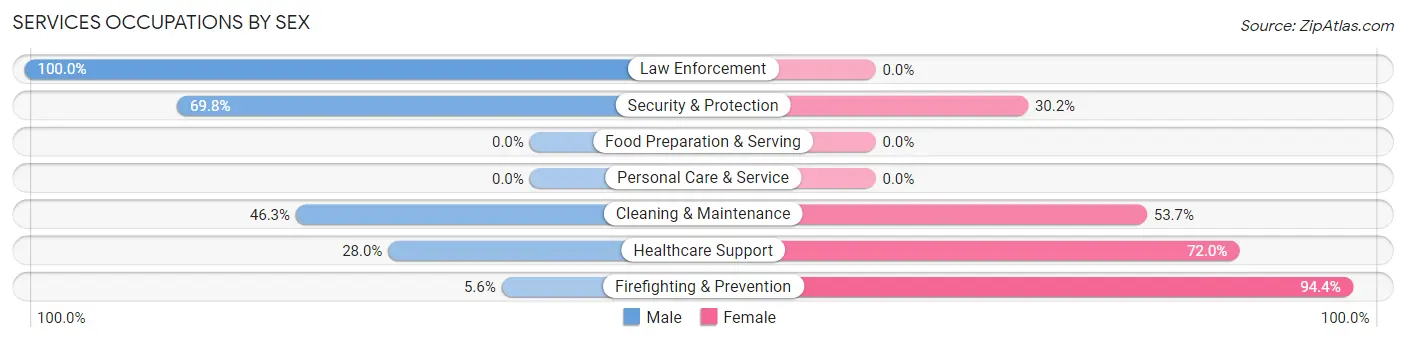 Services Occupations by Sex in Ashburn