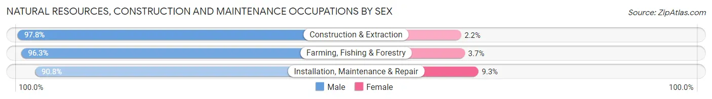 Natural Resources, Construction and Maintenance Occupations by Sex in Atlanta