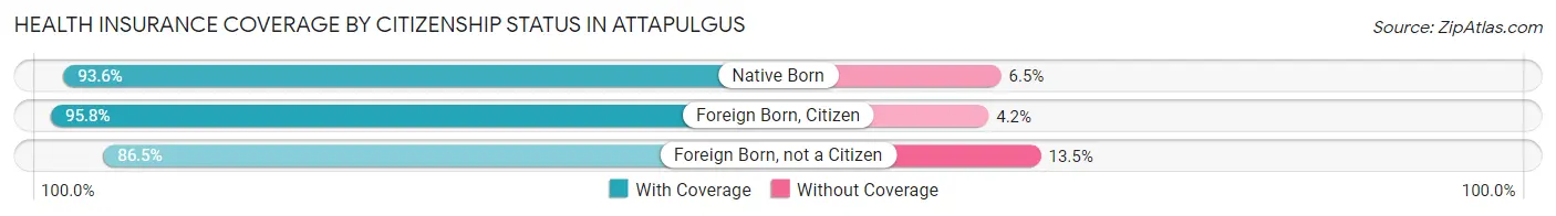 Health Insurance Coverage by Citizenship Status in Attapulgus