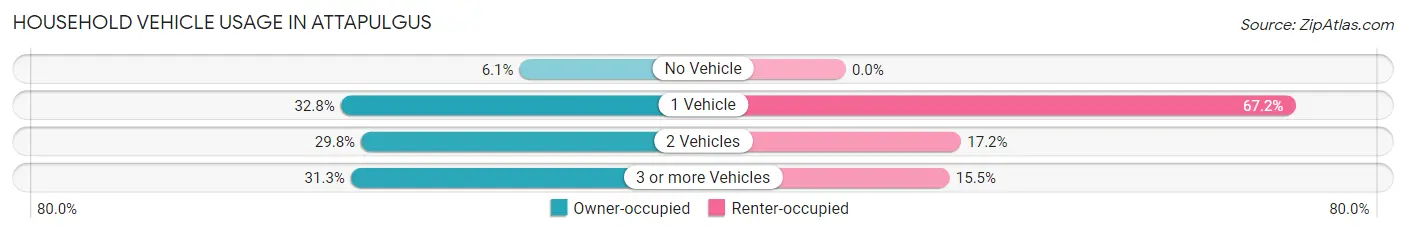 Household Vehicle Usage in Attapulgus