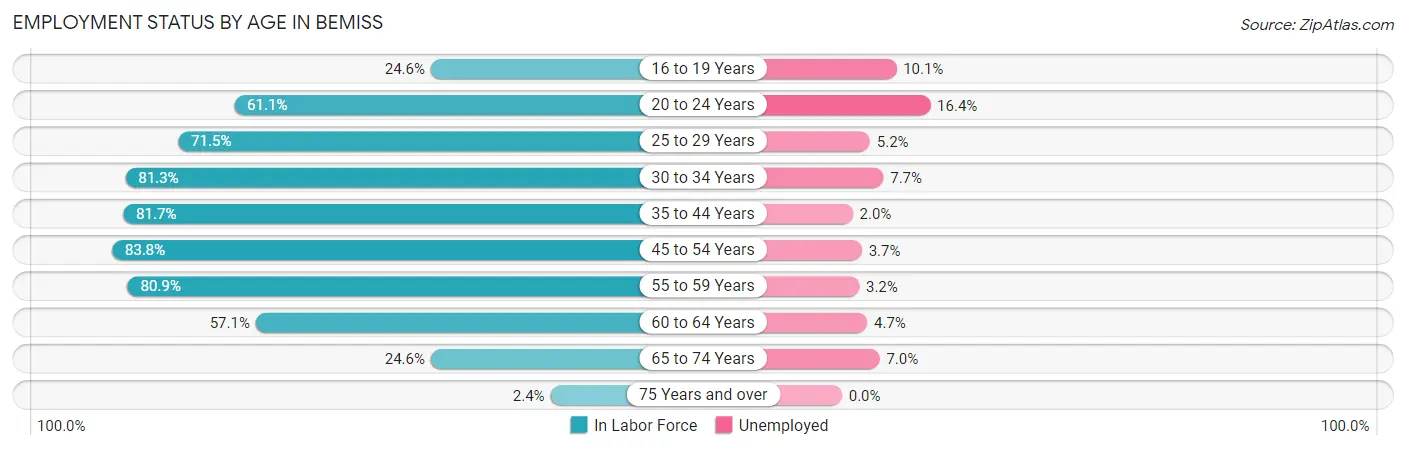 Employment Status by Age in Bemiss