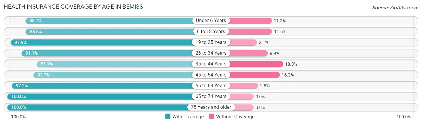 Health Insurance Coverage by Age in Bemiss