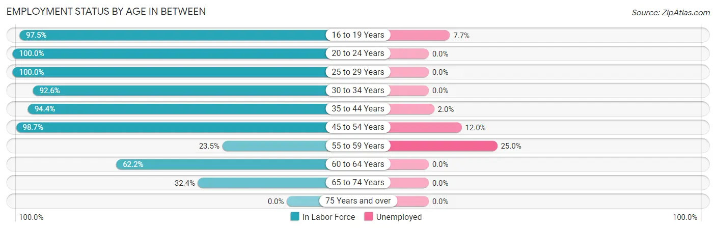 Employment Status by Age in Between