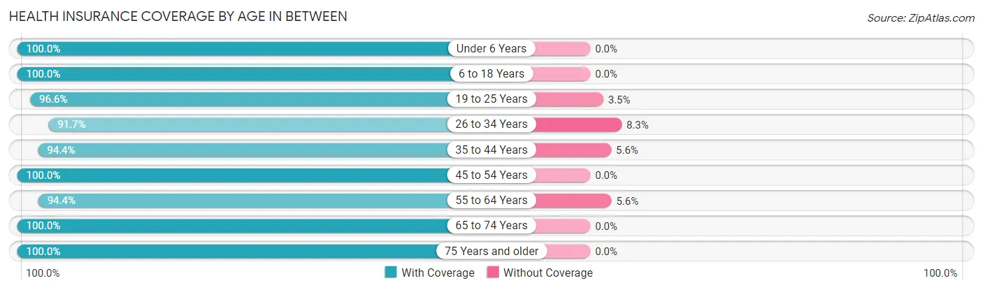 Health Insurance Coverage by Age in Between