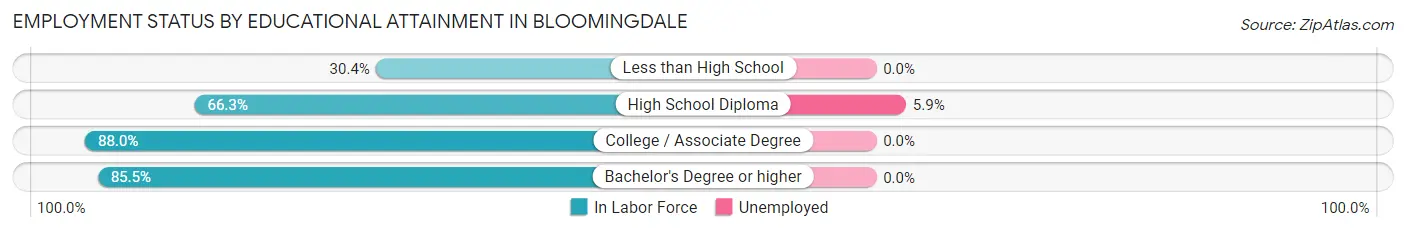 Employment Status by Educational Attainment in Bloomingdale
