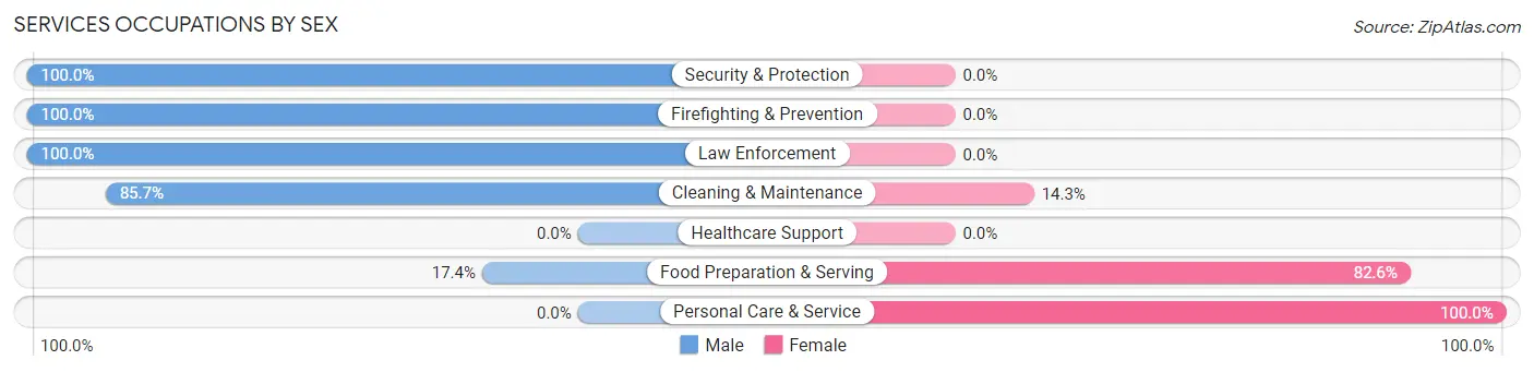 Services Occupations by Sex in Bloomingdale