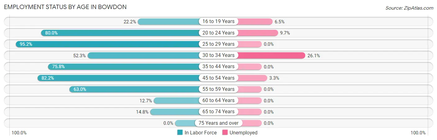 Employment Status by Age in Bowdon