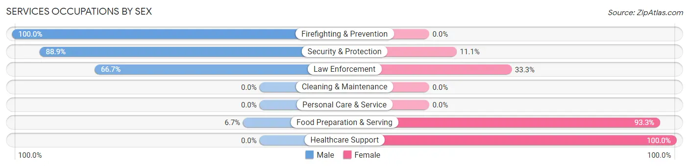 Services Occupations by Sex in Braswell