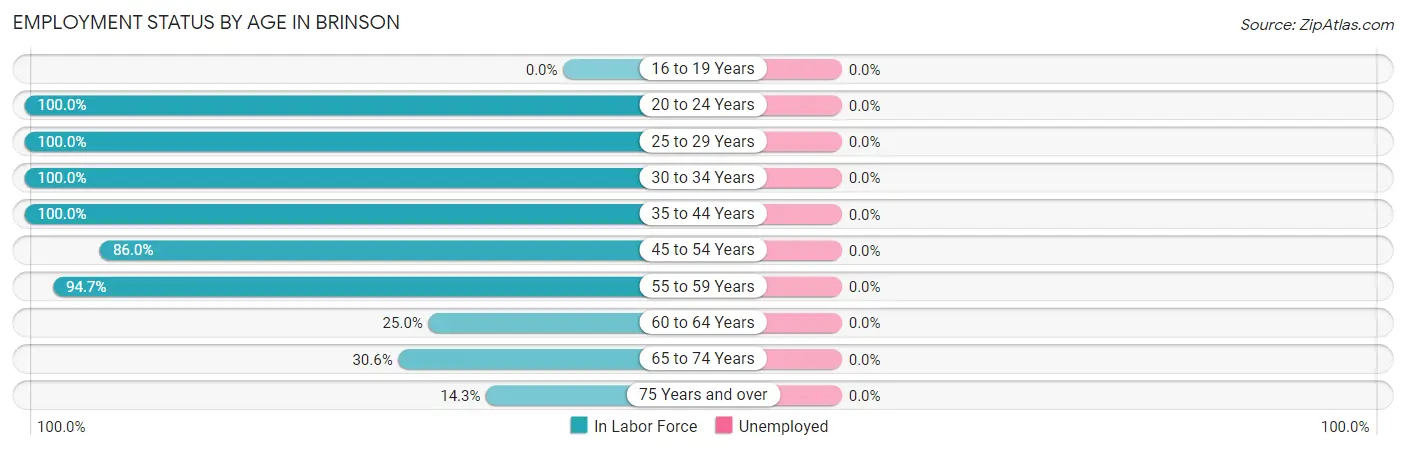 Employment Status by Age in Brinson