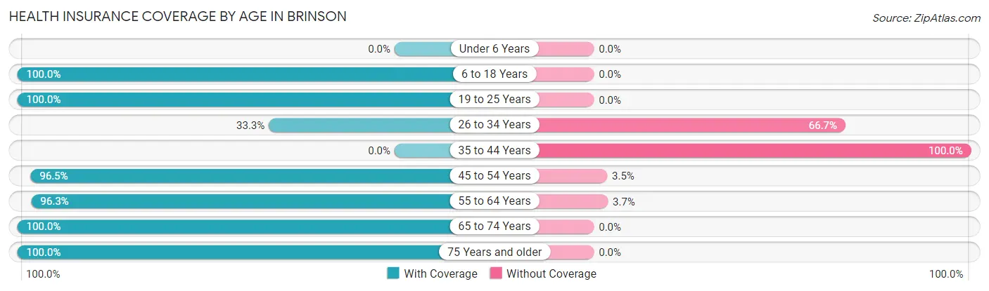Health Insurance Coverage by Age in Brinson