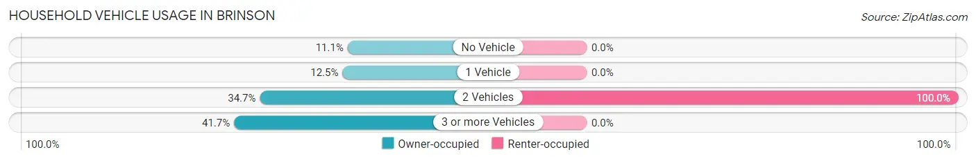 Household Vehicle Usage in Brinson