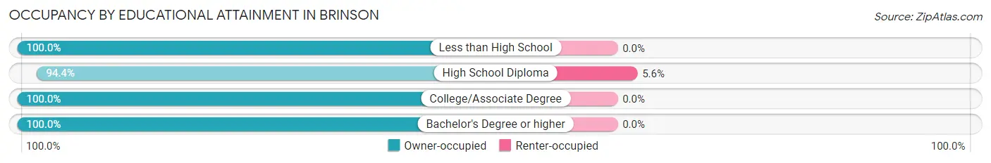 Occupancy by Educational Attainment in Brinson
