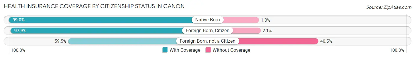 Health Insurance Coverage by Citizenship Status in Canon