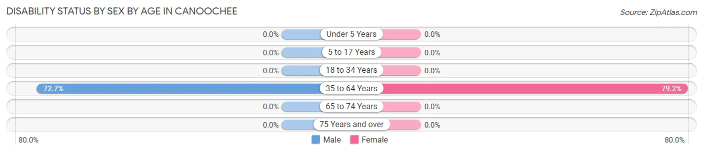 Disability Status by Sex by Age in Canoochee