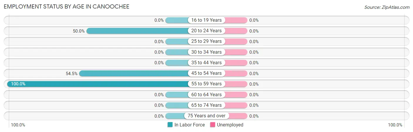 Employment Status by Age in Canoochee