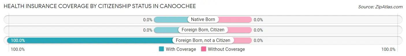 Health Insurance Coverage by Citizenship Status in Canoochee