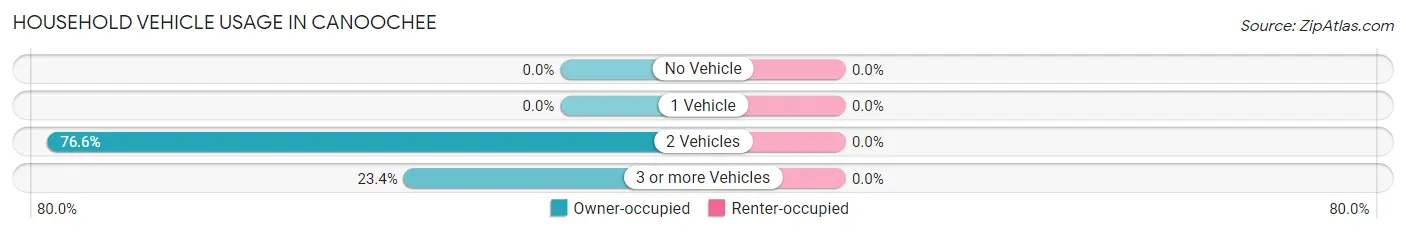 Household Vehicle Usage in Canoochee