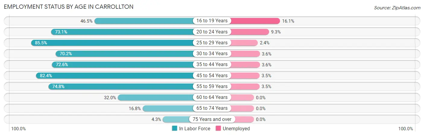 Employment Status by Age in Carrollton