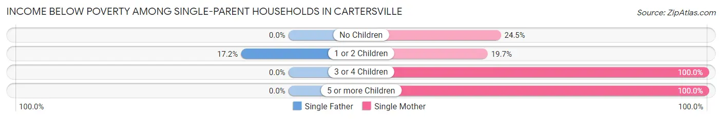 Income Below Poverty Among Single-Parent Households in Cartersville