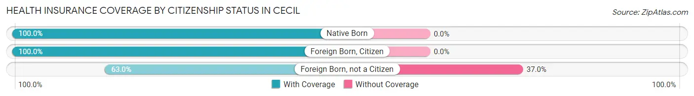 Health Insurance Coverage by Citizenship Status in Cecil