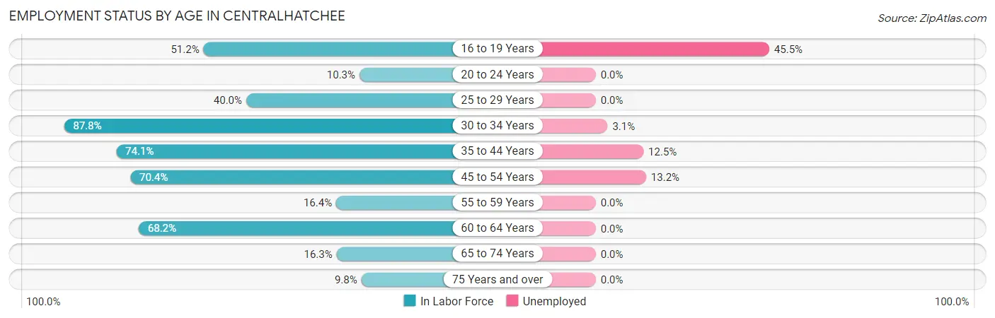 Employment Status by Age in Centralhatchee