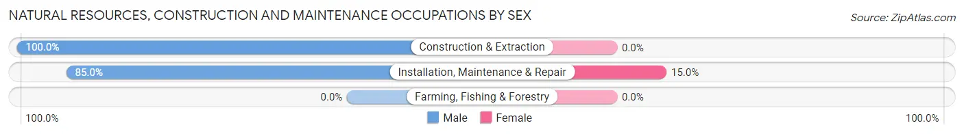 Natural Resources, Construction and Maintenance Occupations by Sex in Colquitt