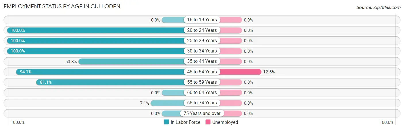 Employment Status by Age in Culloden