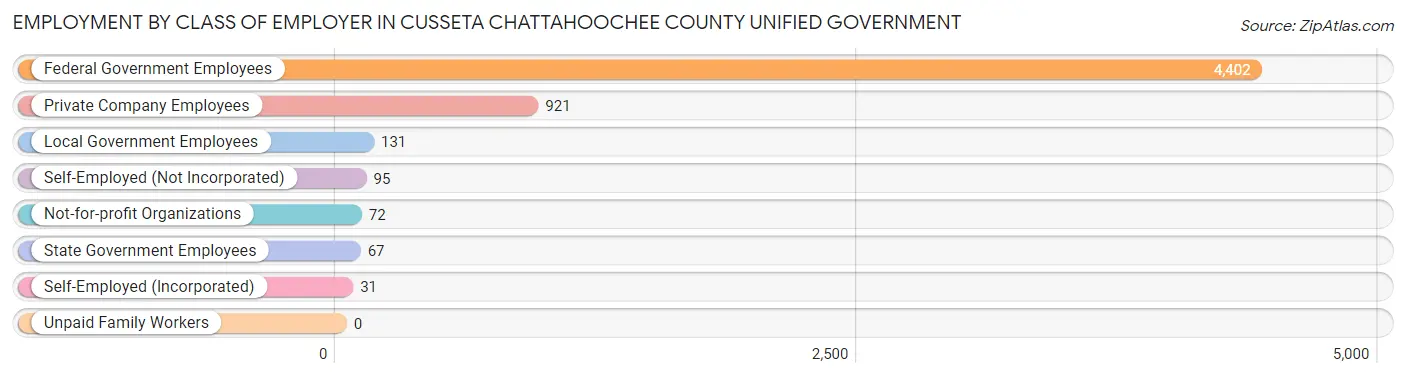 Employment by Class of Employer in Cusseta Chattahoochee County unified government