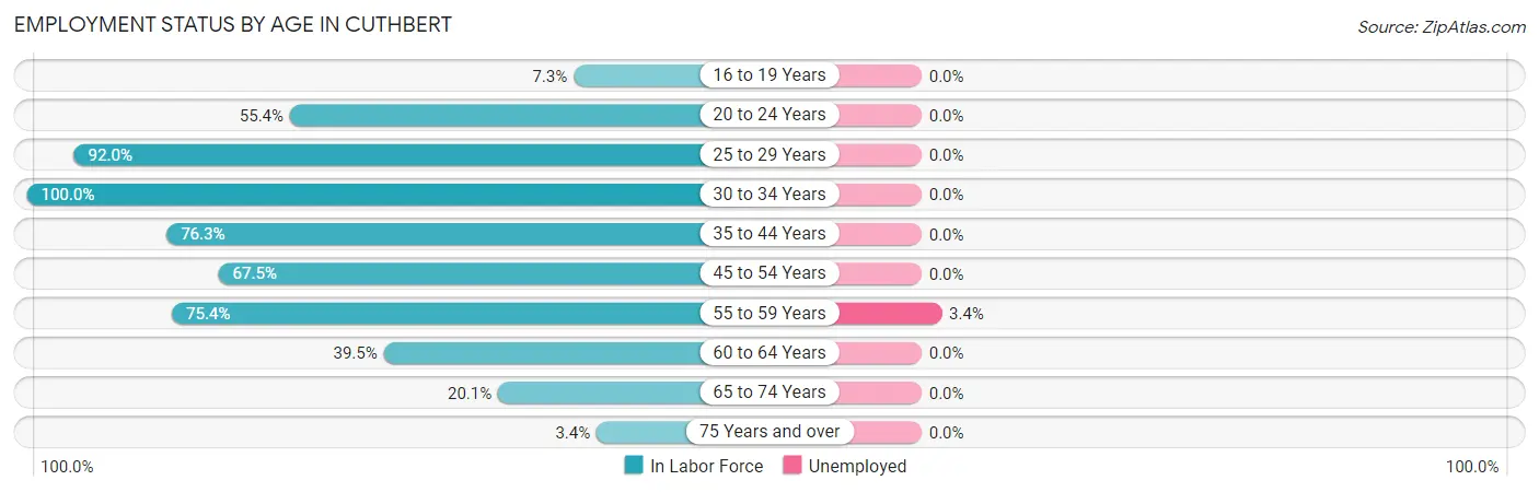 Employment Status by Age in Cuthbert
