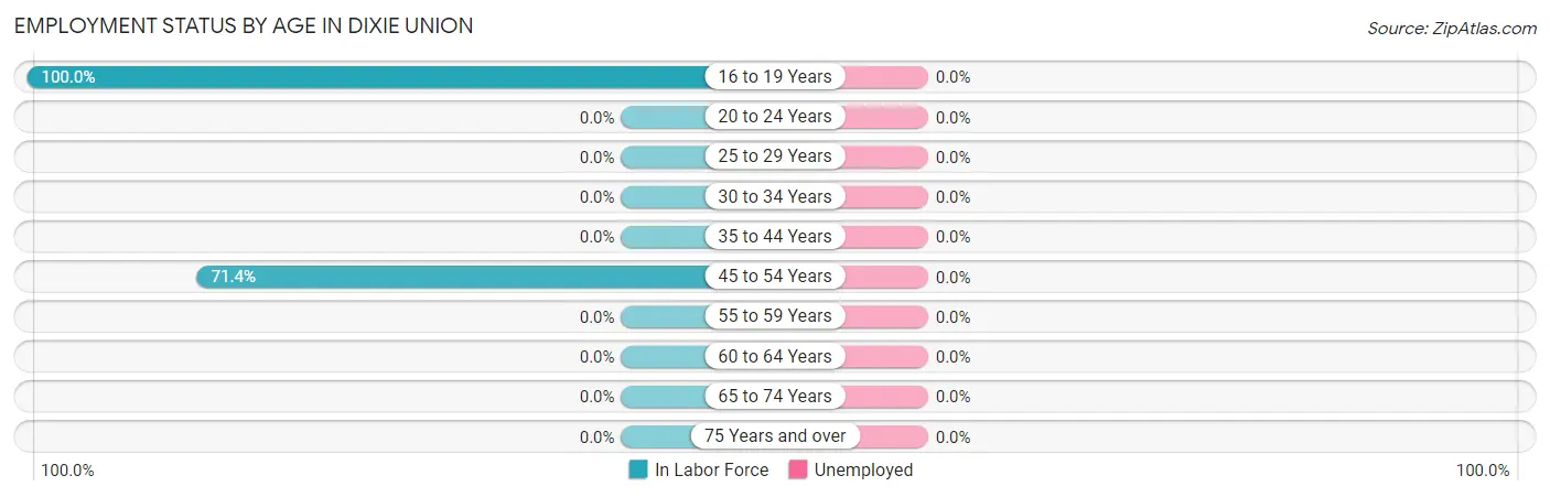 Employment Status by Age in Dixie Union