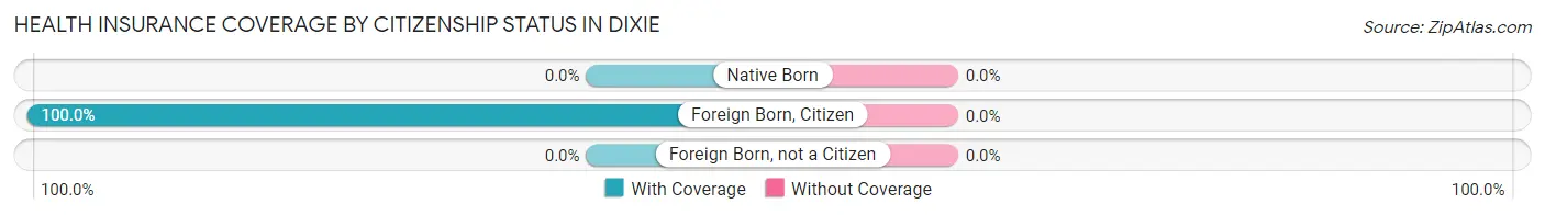 Health Insurance Coverage by Citizenship Status in Dixie