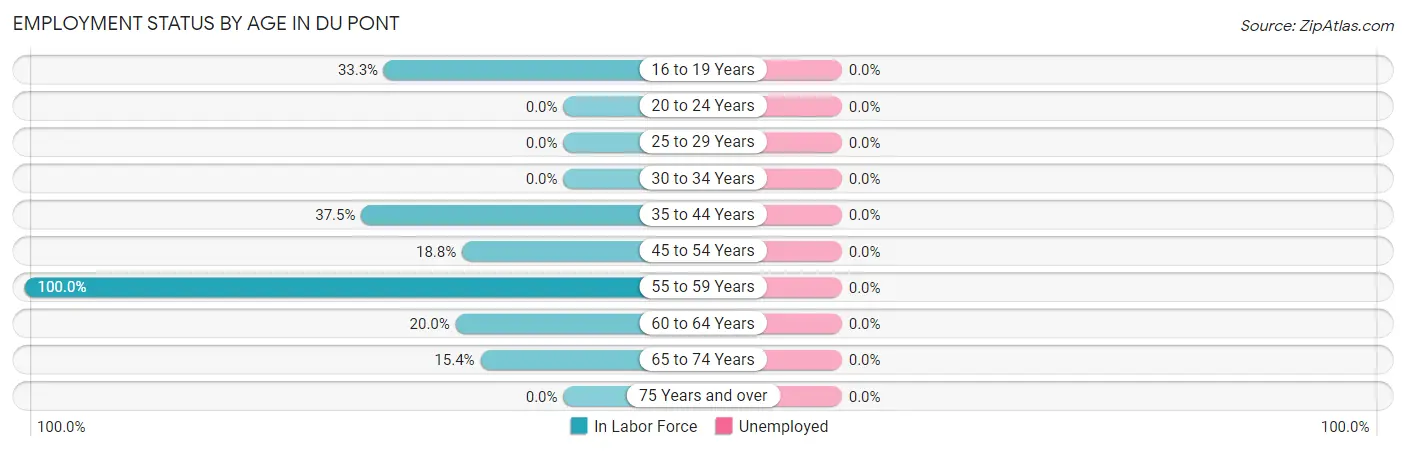 Employment Status by Age in Du Pont