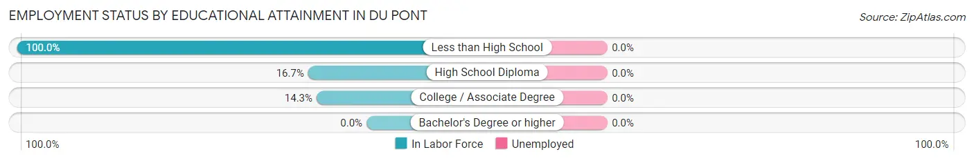 Employment Status by Educational Attainment in Du Pont