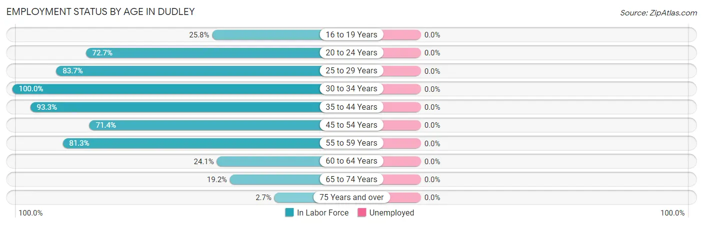 Employment Status by Age in Dudley
