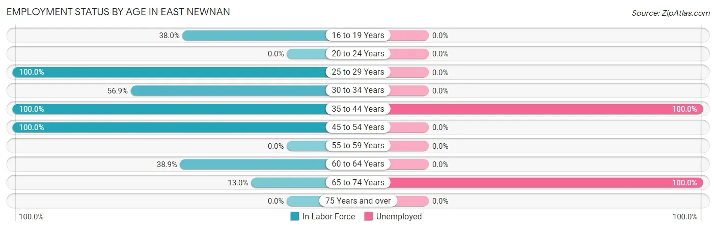 Employment Status by Age in East Newnan