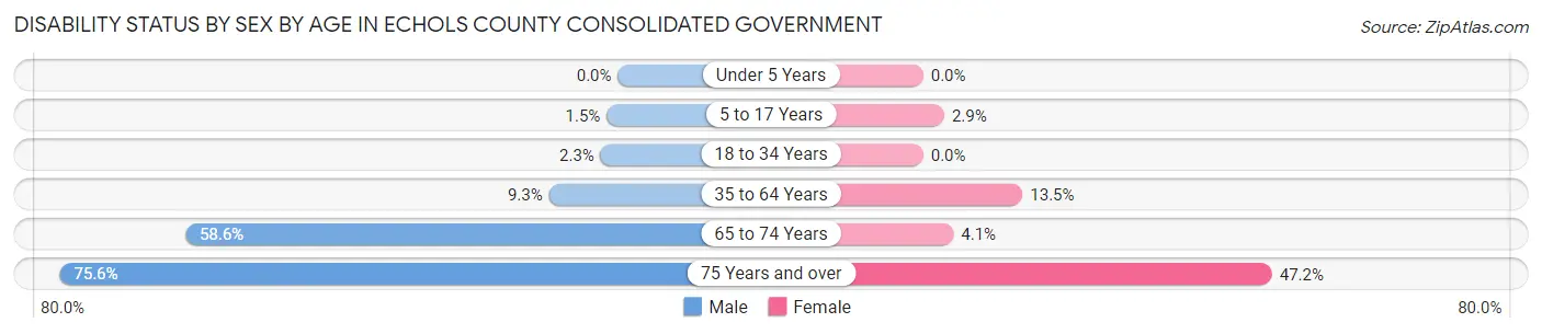 Disability Status by Sex by Age in Echols County consolidated government
