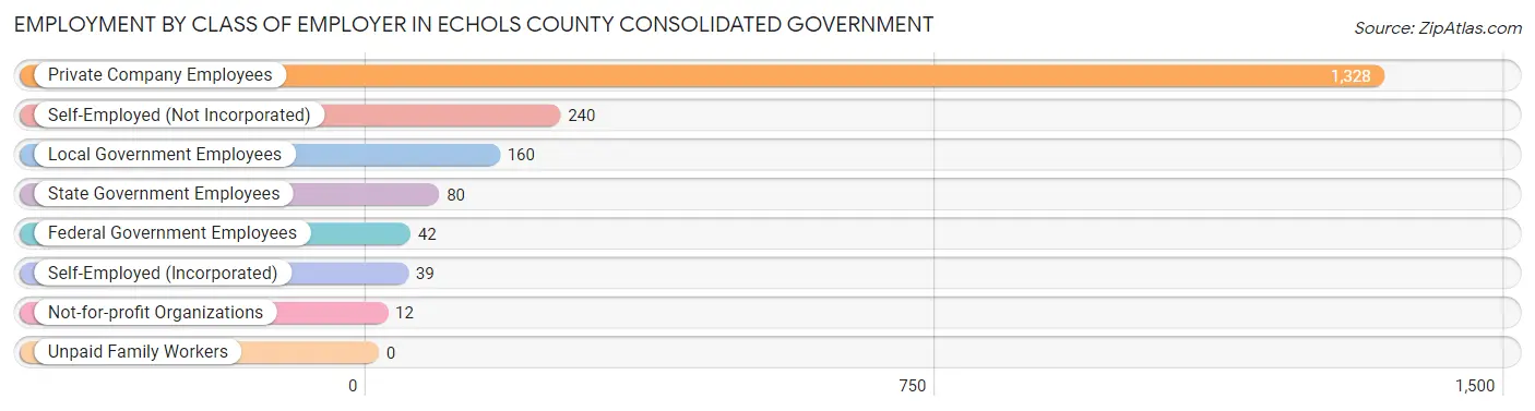 Employment by Class of Employer in Echols County consolidated government