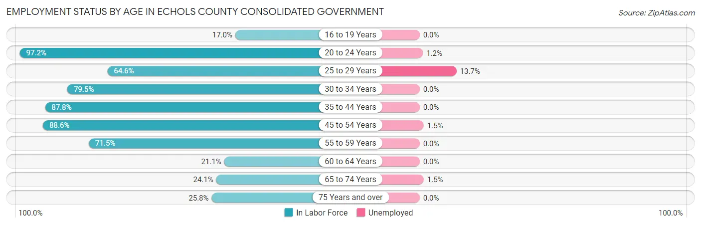 Employment Status by Age in Echols County consolidated government