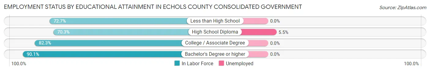 Employment Status by Educational Attainment in Echols County consolidated government