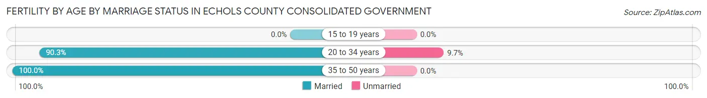 Female Fertility by Age by Marriage Status in Echols County consolidated government