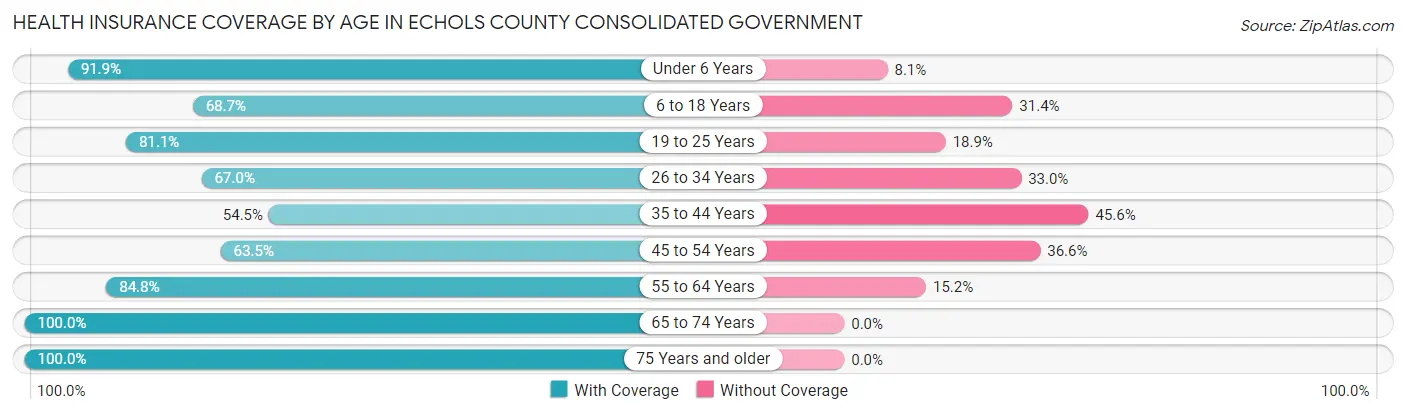 Health Insurance Coverage by Age in Echols County consolidated government