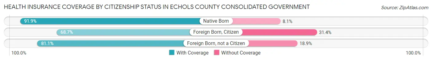 Health Insurance Coverage by Citizenship Status in Echols County consolidated government