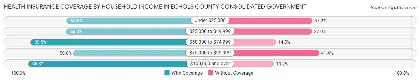 Health Insurance Coverage by Household Income in Echols County consolidated government