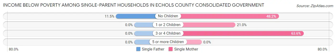 Income Below Poverty Among Single-Parent Households in Echols County consolidated government