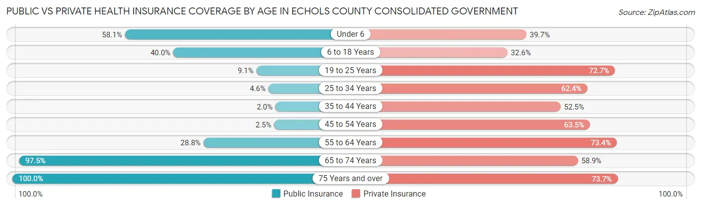 Public vs Private Health Insurance Coverage by Age in Echols County consolidated government