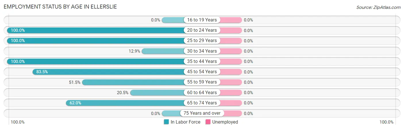 Employment Status by Age in Ellerslie