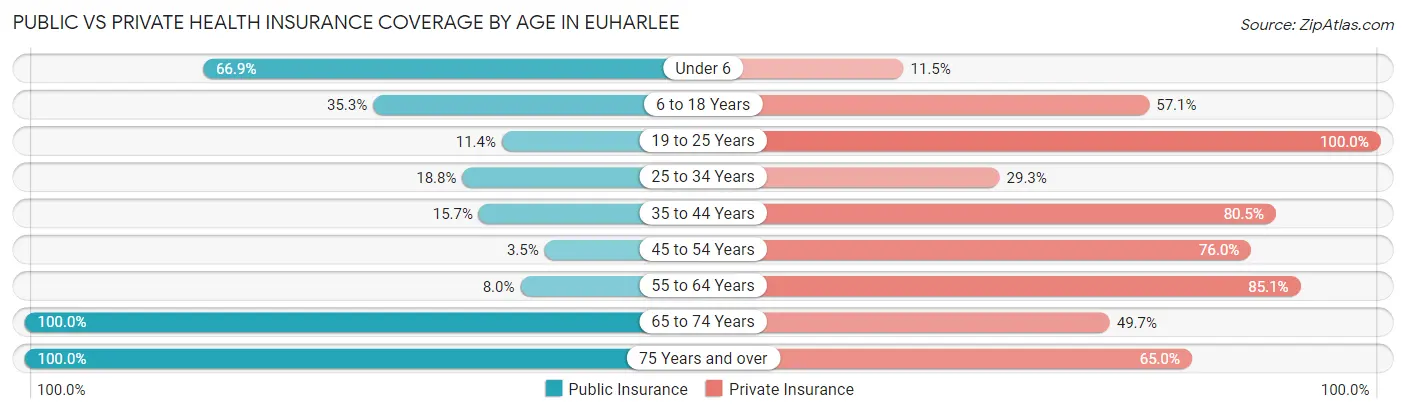 Public vs Private Health Insurance Coverage by Age in Euharlee