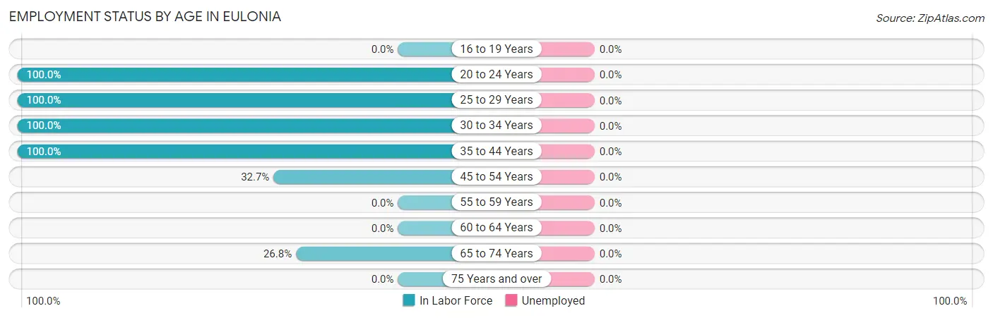 Employment Status by Age in Eulonia
