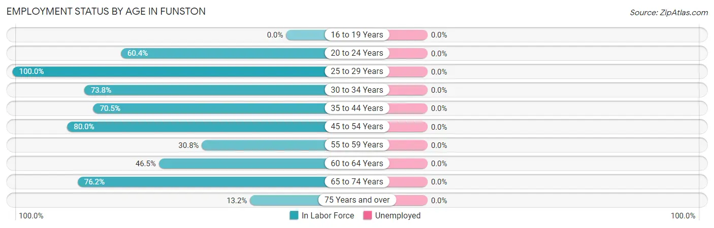 Employment Status by Age in Funston